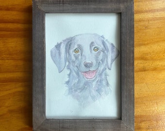 Order made | Pet Portraits with Watercolor