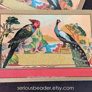 May include: Vintage card with a colorful illustration of a parrot and a peacock. The parrot is perched on a branch with green leaves and the peacock is standing on a rock. The background is a landscape with a lake and mountains. The card has a red border and the text "seriousbeader.etsy.com" is printed on the bottom.
