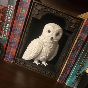 Owl Book Nook