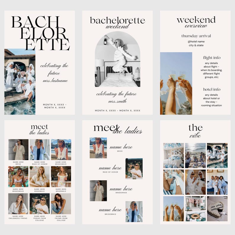 Features the first 6 pages of the planner, the 2 cover options, the overview, meet the ladies options, and the vibe board.