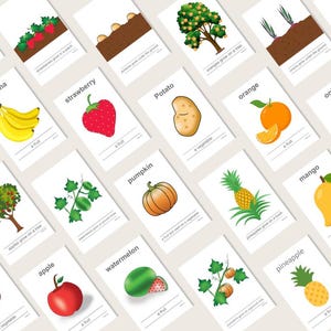 Cadeau pour les enseignants Montessori pour l'école à la maison et l'activité Montessori pour apprendre les fruits et légumes Outil de garderie Montessori TÉLÉCHARGEMENT IMMÉDIAT