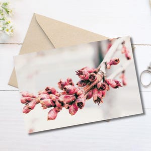 Jeder Anlass Grußkarte innen Blank Geschenkkarten fotografischen Grußkarten Spring Sprout INSTANT DOWNLOAD