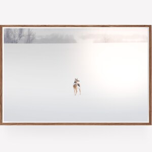 Deer in Snowy Winter Landscape Photography - Nature Photography - Western wall art - large wall art - Wildlife wall art - Dreamy Landscape image 8
