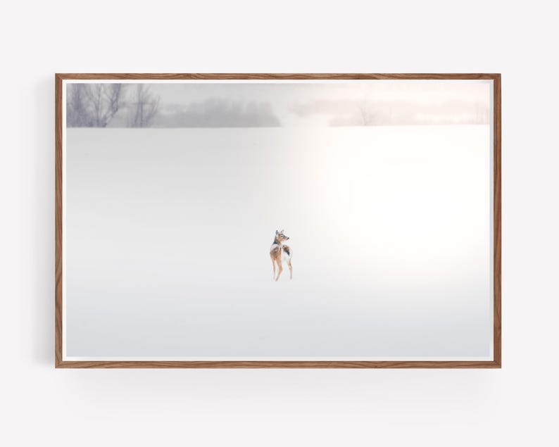 Deer in Snowy Winter Landscape Photography - Nature Photography - Western wall art - large wall art - Wildlife wall art - Dreamy Landscape image 8