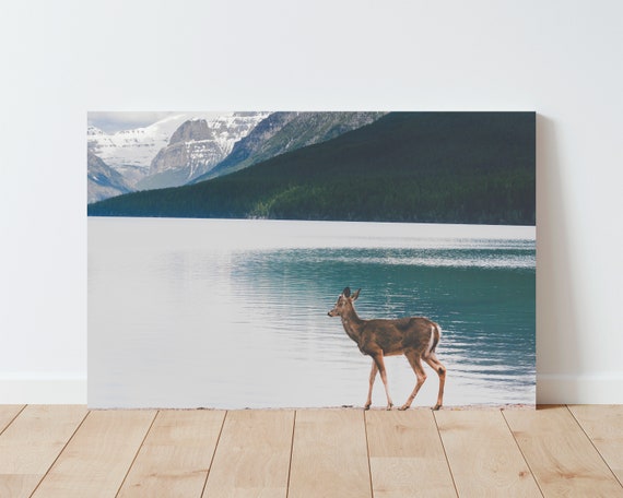 Deer and Mountain Lake Wall Art - Bowman Lake - Glacier National Park - Landscape wall art - mountain wall art - Nature wall art - montana