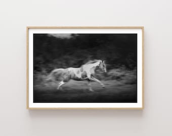 Running Horse Photography: Black and White Western Wall Art