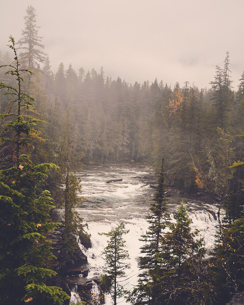 May include: A misty forest scene with a rushing river in the foreground. The trees are tall and green, and the water is white and foamy. The scene is peaceful and serene.