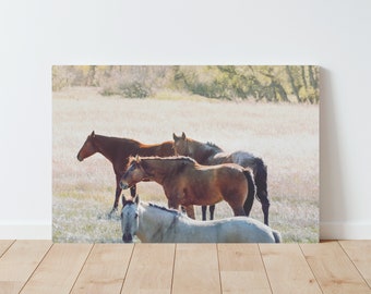 May include: Four horses stand in a field of tall grass. The horses are brown, white, and gray. The horses are looking at the camera.