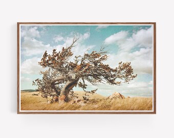 Rustic Landscape Photography