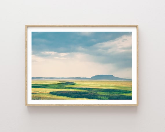 "Meadow at Square Butte" - Summer meadow Landscape Photography