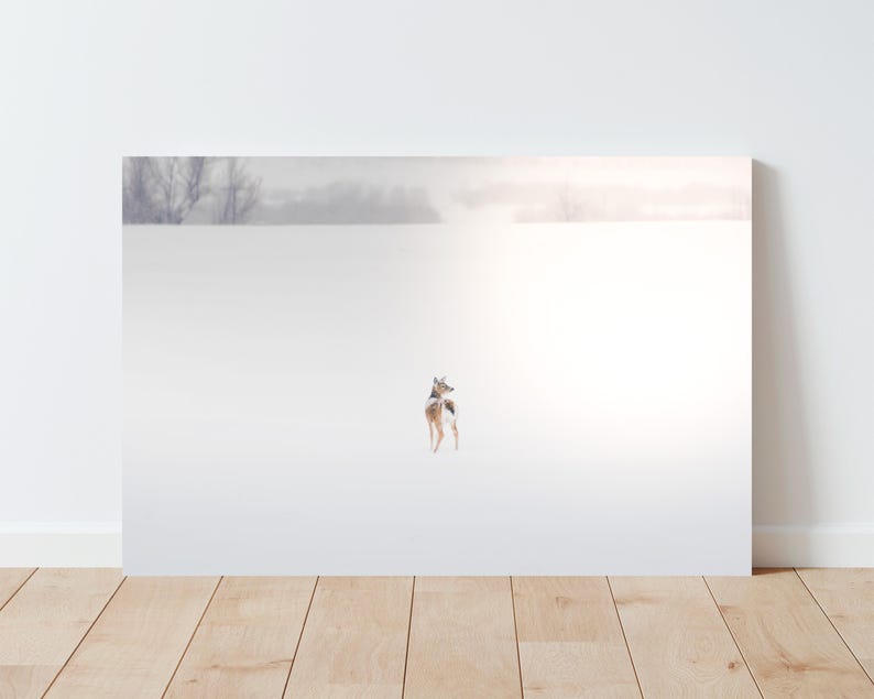 Deer in Snowy Winter Landscape Photography - Nature Photography - Western wall art - large wall art - Wildlife wall art - Dreamy Landscape image 9