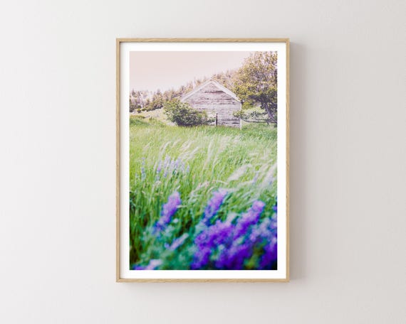 "Mountain Lessons" - dreamy wildflowers landscape photography