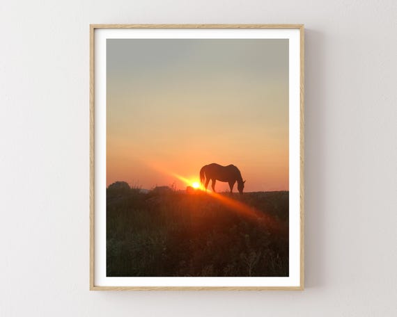"Awaiting the Return" - Horse Sunset Fine Art Print, Western Country Wall Art, Rural Landscape Photography, Golden Hour, Horse Decor
