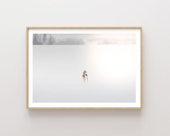 "Weather the Storm" - Deer in Snowy Landscape Photography Print