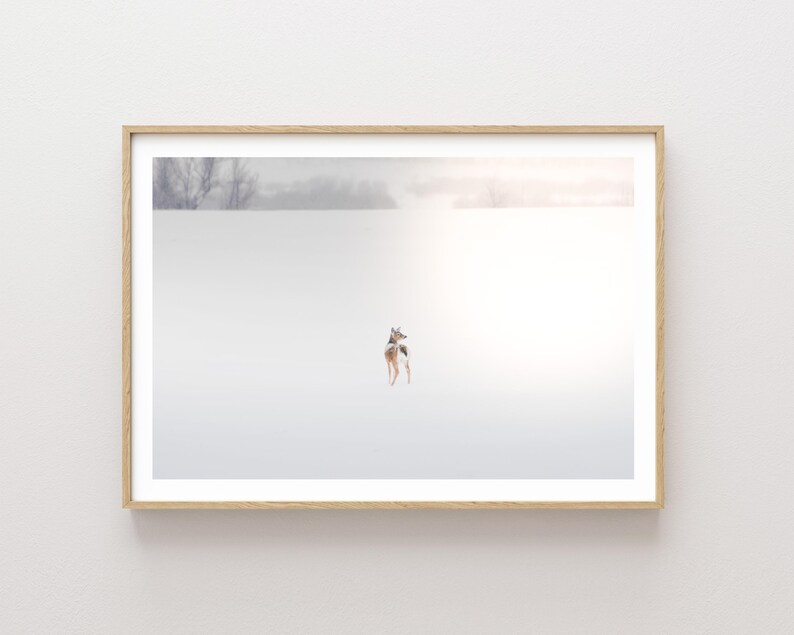 Deer in Snowy Winter Landscape Photography - Nature Photography - Western wall art - large wall art - Wildlife wall art - Dreamy Landscape image 1