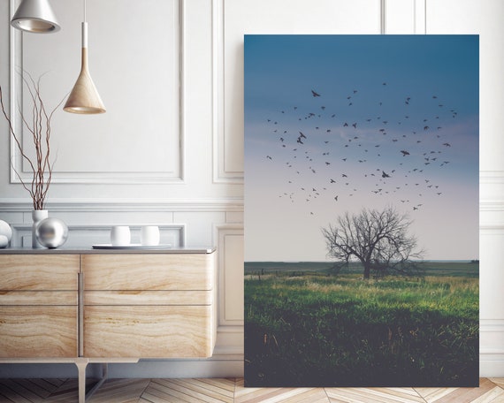 Summer Landscape with Meadow and Birds - colorful and peaceful countryside landscape, flock of birds over dreamy grassy meadow landscape