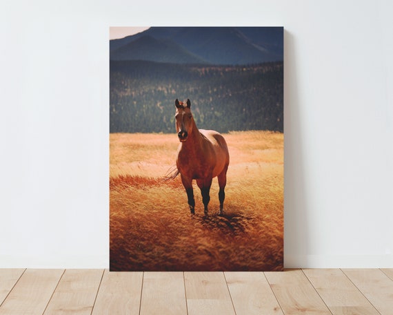 Dreamy Horse and Mountain Meadow Landscape - Landscape wall art - Horse photography - farmhouse decor - nature wall art - large wall art