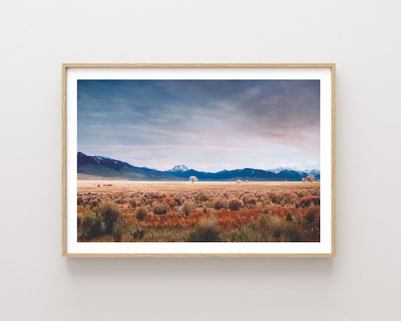 "Tobacco Roots Meadow" - Western Landscape Photography