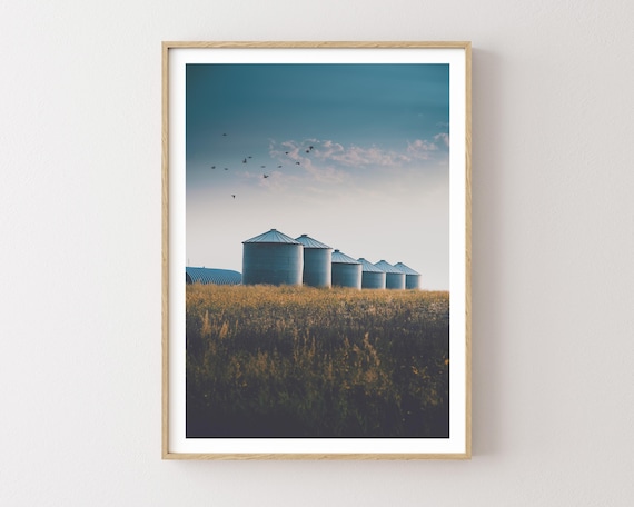 "Summer Silos" - Montana Grain Silos Photography Print - Rustic Americana Wall Art, Farmhouse Decor, Rural Large Western Art Print, Birds