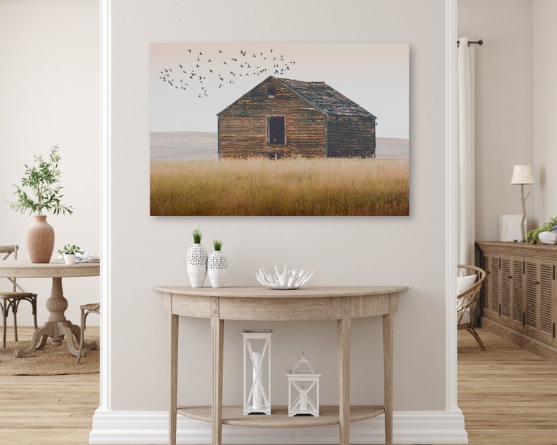 May include: A weathered wooden barn stands in a field of tall grass, with a flock of birds flying overhead. The sky is a soft, muted blue, and the barn is painted a dark green. The barn has a single window and a wooden door.
