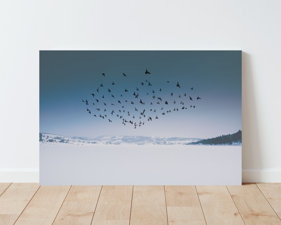 Birds and Wilderness Landscape Photography - Landscape - Nature photography - Montana - Western Wall Art - Western Decor - Boho Decor - sky