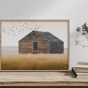 May include: A framed photograph of a weathered wooden barn in a field with a flock of birds flying overhead. The barn is brown and gray with a faded roof. The field is a golden brown color.