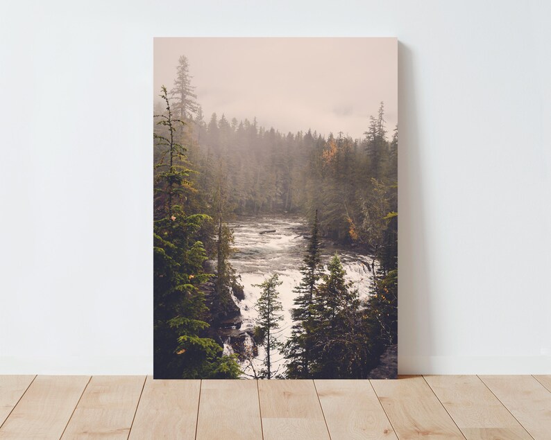 May include: A misty forest scene with a river flowing through the center. The river is surrounded by tall, green trees and the water is a light blue color. The scene is peaceful and serene.