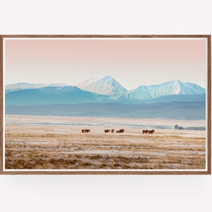 Big Hole Montana Landscape - colorful montana mountains landscape, horses and mountain landscape photography, rural landscape image 8