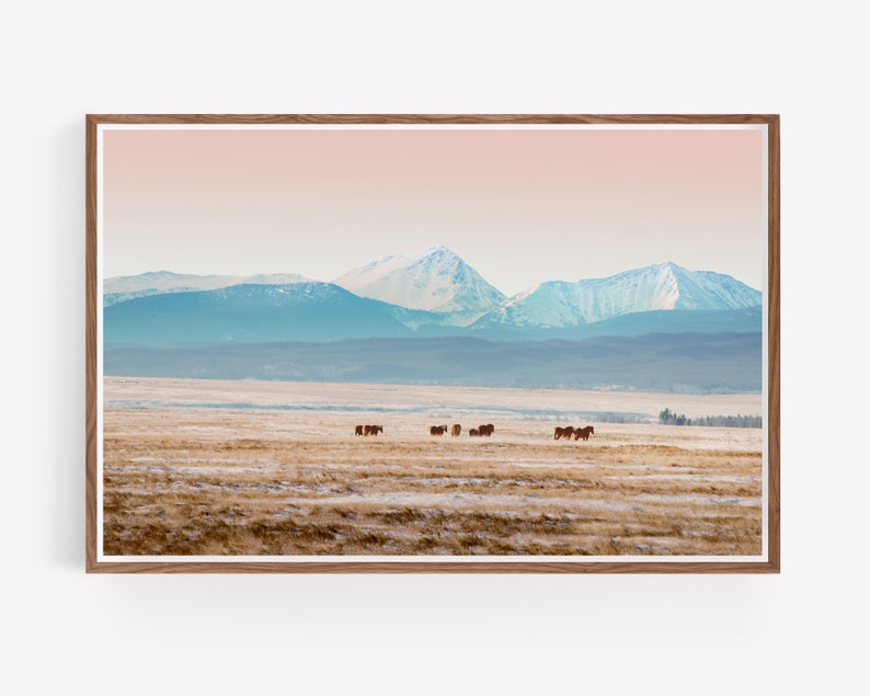 Big Hole Montana Landscape - colorful montana mountains landscape, horses and mountain landscape photography, rural landscape image 8