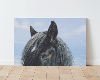 Ranch Horse Photography – Farmhouse Print - Large wall art - Western Decor - Black horse