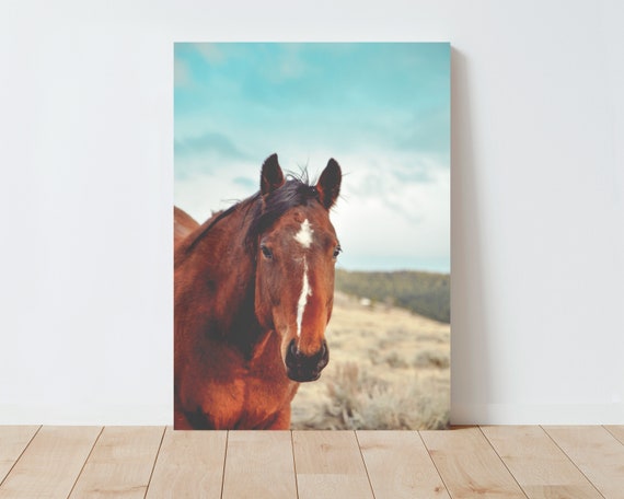 Ranch Horse Wall Art Photography - Large wall art - horse wall art - horse print - farmhouse decor - living room wall art - nature wall art