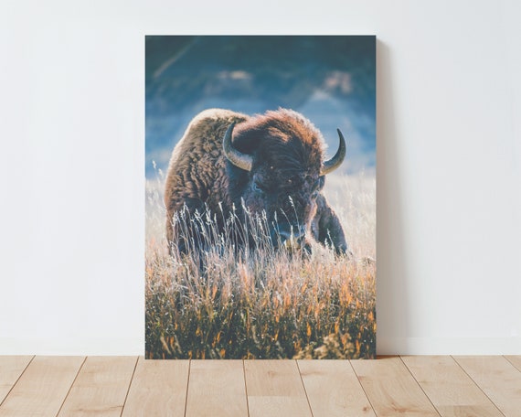 Bison and Wilderness Landscape Photography - Nature wall art - Nature photography - Bison wall art - Bison Print - Large wall art - rustic