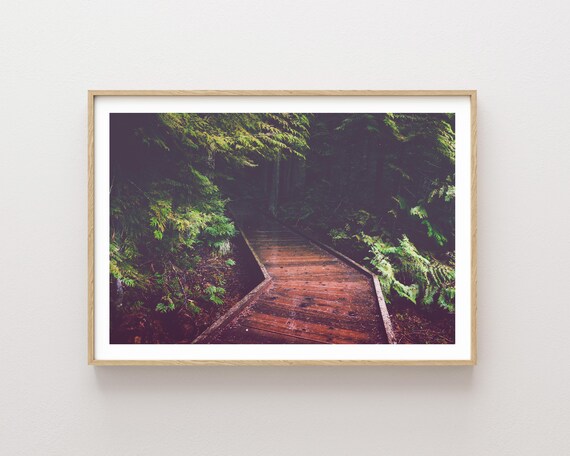 "Trail of the Cedars" - Peaceful Forest Path Landscape Photography