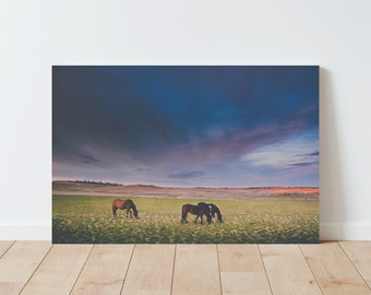 Horses and Countryside Landscape Photography - Horse wall art - Farmhouse Decor - Western Decor - Nature Photography - Panoramic Landscape