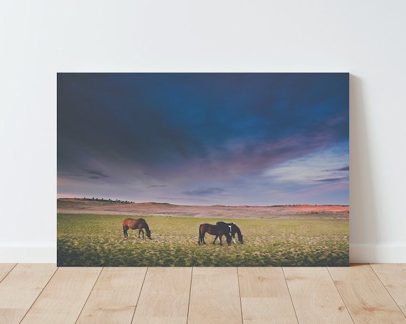 Horses and Countryside Landscape Photography - Horse wall art - Farmhouse Decor - Western Decor - Nature Photography - Panoramic Landscape