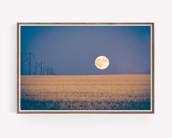 "Harvest Moon"