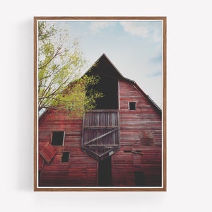 May include: A red wooden barn with a large open door and several windows. The barn is weathered and has a rustic charm. The barn is surrounded by green trees.