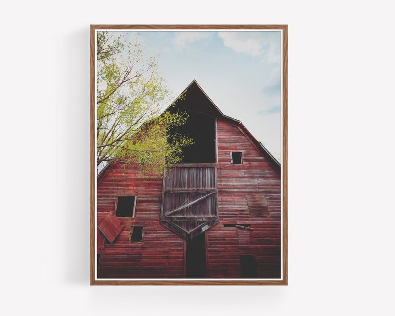 May include: A red wooden barn with a large open door and several windows. The barn is weathered and has a rustic charm. The barn is surrounded by green trees.