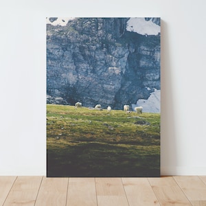 May include: A scenic photograph of a mountain range with a group of white goats grazing on a grassy hillside. The mountainside is rocky and has patches of snow.
