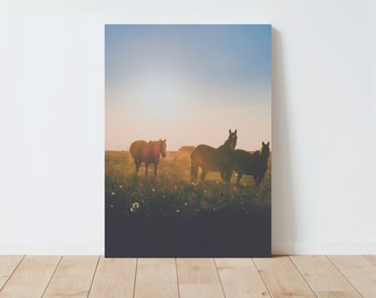 Horses and Rural Landscape Wall Art - Americana wall art - horse photography - large wall art - Landscape wall art - nature prints - montana