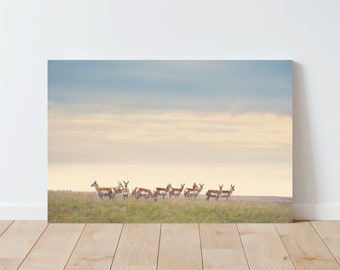 Pronghorn Herd Photography Print - Antelope - Western Decor - Farmhouse Decor - Nature Print - Landscape wall art - Boho Decor - panoramic
