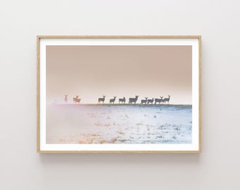 Deer and Sunset Landscape photographic print - large wall art - Scenic nature print