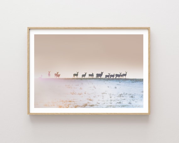"Horizon Line" - Deer and Sunset Landscape photographic print - large wall art - Scenic nature print
