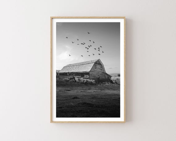 "Rocky Mountain Barn" - Fine Art Black and White Western Photography