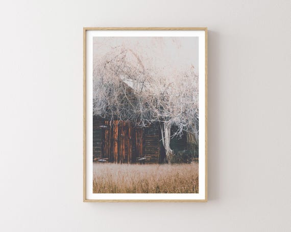 "The Grain" - Rustic Weathered Barn Landscape Photography