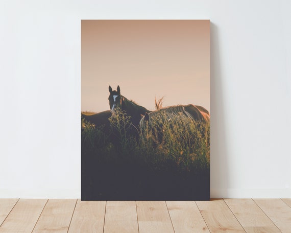 Dreamy Country Horses Photography - Farmhouse Decor - Horse Print - Nature wall art - Large wall art - Living Room wall art - nature prints