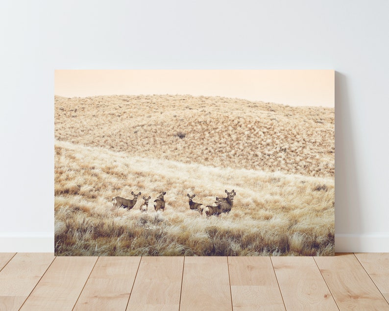 May include: A group of deer standing in a field of tall, dry grass. The deer are brown and have white spots. The field is a light brown color and the sky is a light blue color.