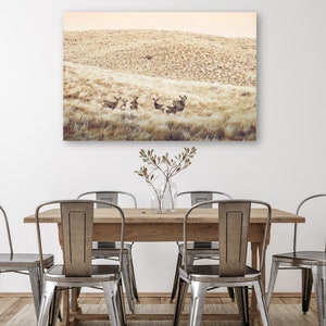 May include: A group of deer standing in a field of tall, dry grass. The deer are brown and have large antlers. The field is a light brown color and the sky is a light blue color.