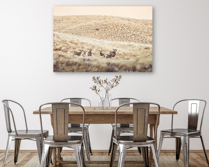 May include: A group of deer standing in a field of tall, dry grass. The deer are brown and have large antlers. The field is a light brown color and the sky is a light blue color.