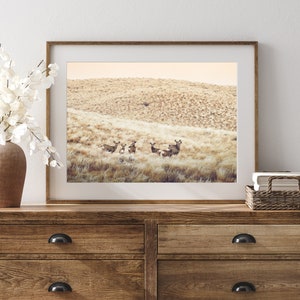 May include: A framed photograph of a group of deer standing in a field of tall grass. The deer are brown and have large antlers. The background is a soft, golden color.